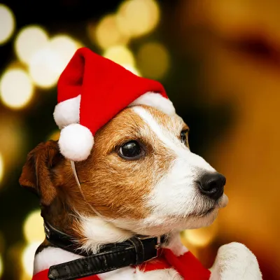 Christmas Pet Dog Red Stuffed Pet Hat Decorations