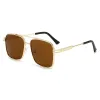 Tea Slices In A Gold Lenses