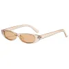 Champagne Frame Light Tea