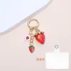 Strawberry Gasket