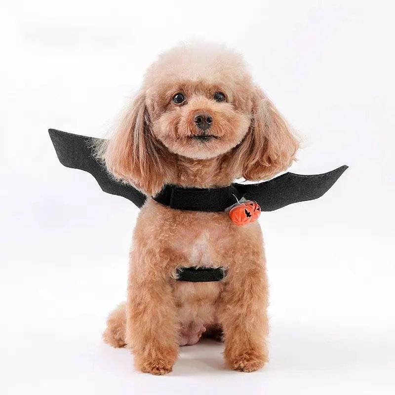 Halloween Pet Bat Wings