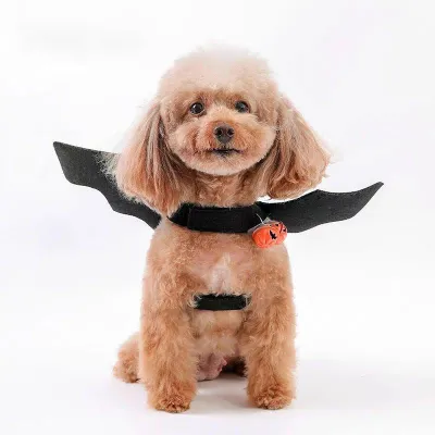 Halloween Pet Bat Wings