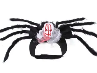 Halloween Skull Pet Spider Chest Clothing