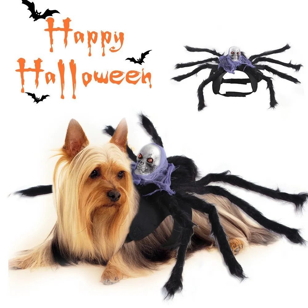Halloween Skull Pet Spider Chest Clothing