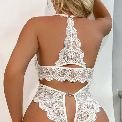 Women Sexy Lace Perspective V-Neck Lingerie