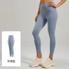 Gray Aqua