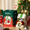 Christmas Apple Gift Box 294Pcs
