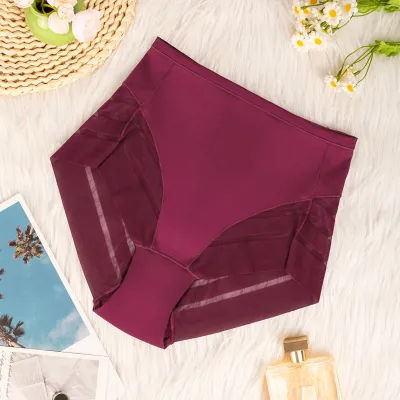Women Fahsion Sexy Solid Color High Waist Breathable Invisible Mesh Panties