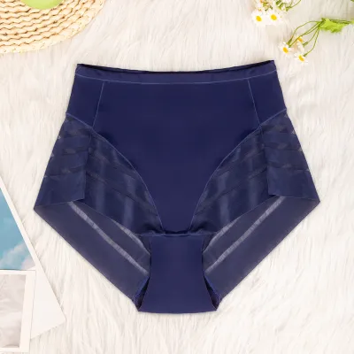 Women Fahsion Sexy Solid Color High Waist Breathable Invisible Mesh Panties