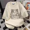 Efgcbc Cat-Apricot