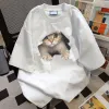 Cave Cat-White
