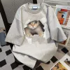 Cave Cat-Grey