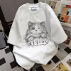 Efgcbc Cat-White