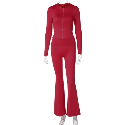 Women Fashion Autumn Winter Solid Color Zipper Long Sleeve Hooded Crop Top Flared Pants Two-Piece Set