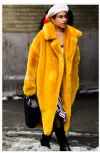 Ginger