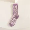 Purple Zebra