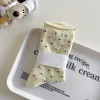 Milk Custard