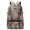 ACU Camouflage