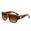 Hawksbill Framed Gradual Tea Lenses