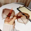 Champagne Double Tea Lenses