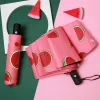 Automatic Watermelon