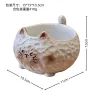 Siamese Cat Fleshy Flower Pot