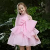 Barbie Pink