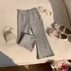 Gray Dot
