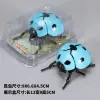 Coil Seven Star Ladybug [Blue] PVC Box