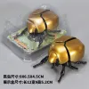 Coil Beetle1 [Gold] PVC Box