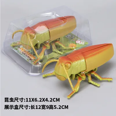 Kids Fashion Creative Simulation Insect Winding Chain Crawling Moving Beetle Spider Model Toys