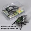 Coil Summer Cicada Cicada [Dark Green] PVC Box