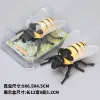Coil Bee [Yellow] PVC Box