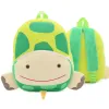 Animal Turtle