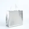 Embossed Silver Horizontal