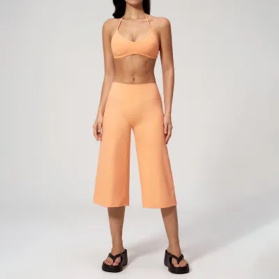 Women Fashion Solid Color Shockproof Bra Quick-Drying High Waist Pants Yoga Sports Two-Piece Set