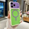 Grass Purple