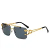 Gold Frame, All Gray