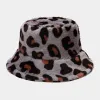 Big Leopard Grey