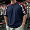Pure Cotton Navy Blue Burgundy