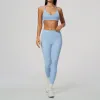 Shell Blue