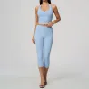 Shell Blue