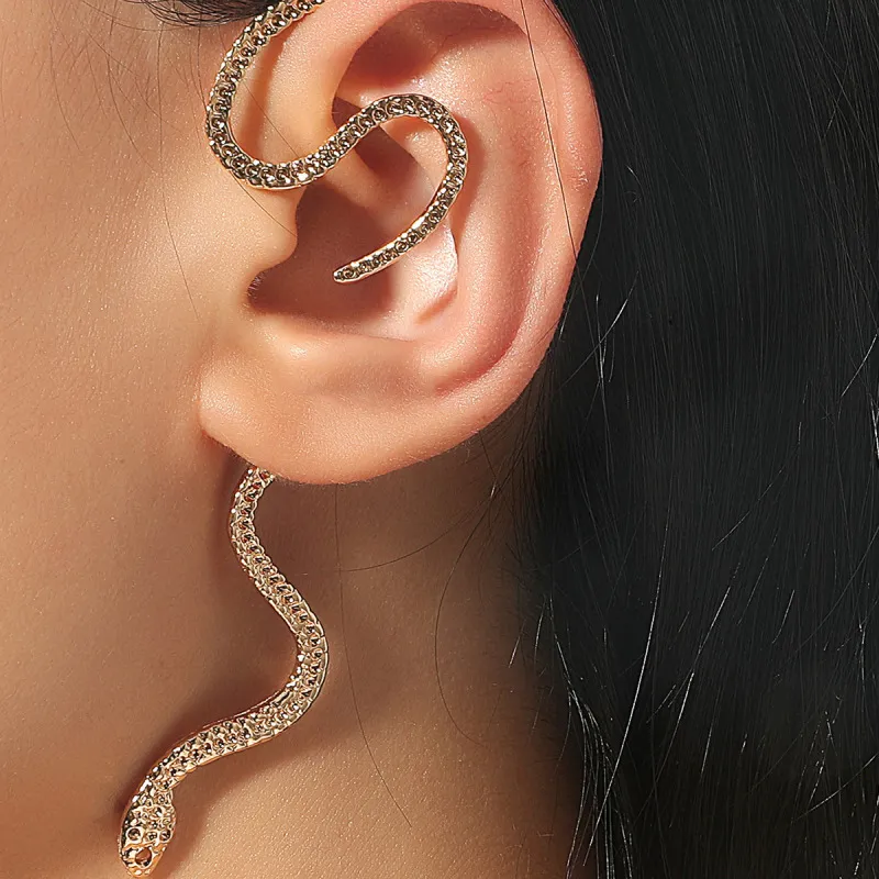 Vintage Exaggerated Geometric Snake Shaped Alloy Drop Earrings