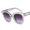 Light Gray Frame Double Gray