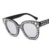 Bright Black Frame White Silver