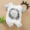 Lion 2