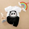 Panda Head