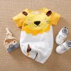 Yellow Lion
