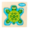 19-Tortoise