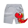 Dk9021 Grey